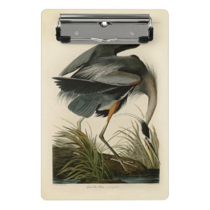 Audubon Great Blue Heron Marsh Bird Mini Klemmbrett