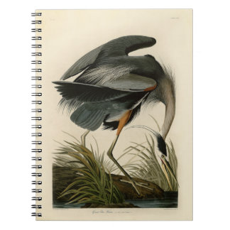 Audubon Great Blue Heron Marsh Bird Notizblock