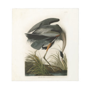 Audubon Great Blue Heron Marsh Bird Notizblock