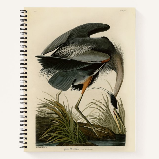 Audubon Great Blue Heron Marsh Bird Notizbuch (Vorderseite)