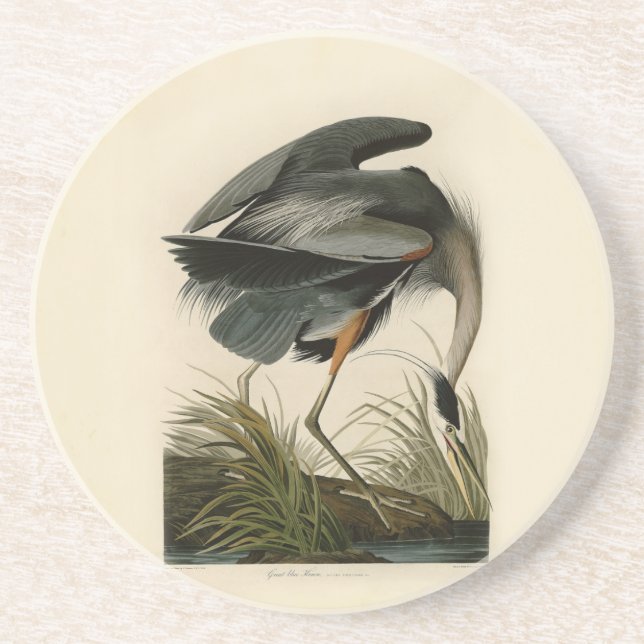 Audubon Great Blue Heron Marsh Bird Sandstein Untersetzer (Vorne)