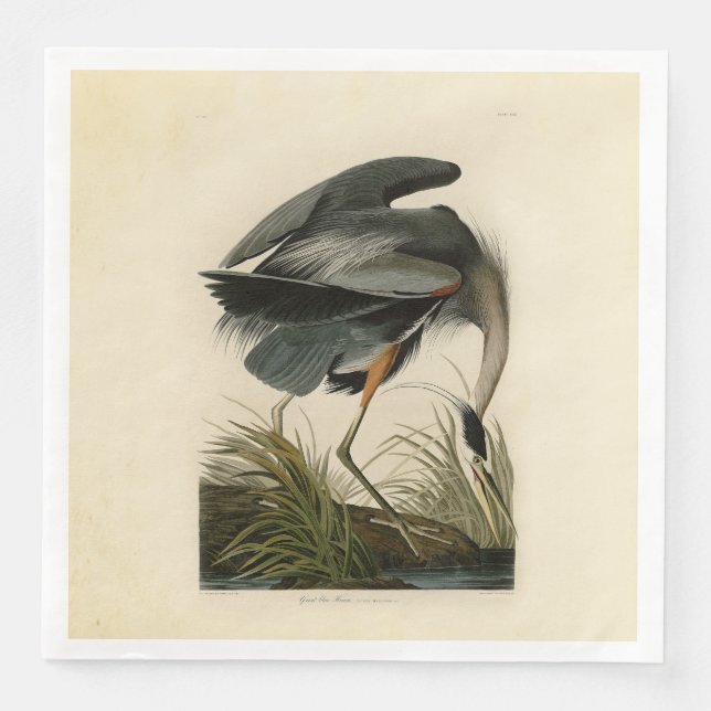 Audubon Great Blue Heron Marsh Bird Serviette (Vorderseite)