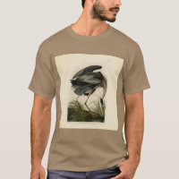 Audubon Great Blue Heron Marsh Bird