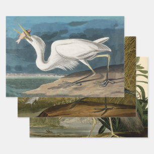 Audubon Großer Weißer Reiher: Vintage Küsten Vogel Geschenkpapier Set