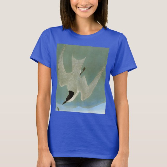 Audubon: Gull-Billed Tern T-Shirt (Vorderseite)