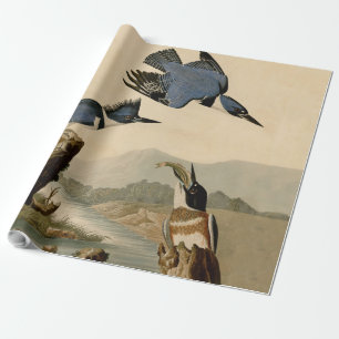 Audubon Gürtel-Kisvogel Vintage Vogel Natur Geschenkpapier