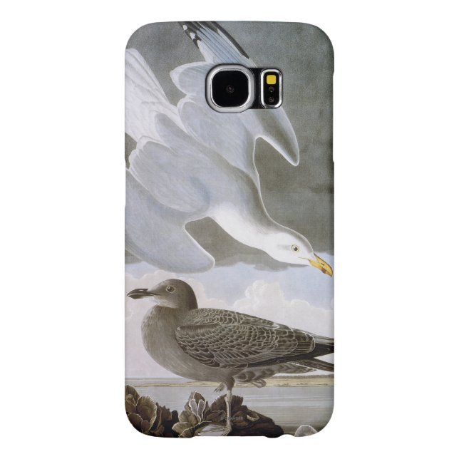 Audubon: Hering-Möve Case-Mate Samsung Galaxy Hülle (Rückseite)