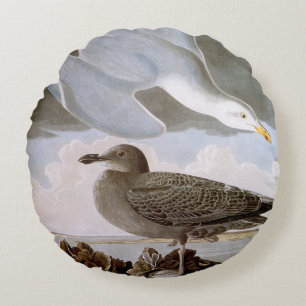 Audubon: Hering-Möve Rundes Kissen