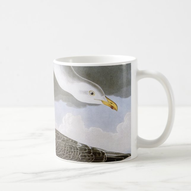 Audubon: Hering-Möve Tasse (Rechts)