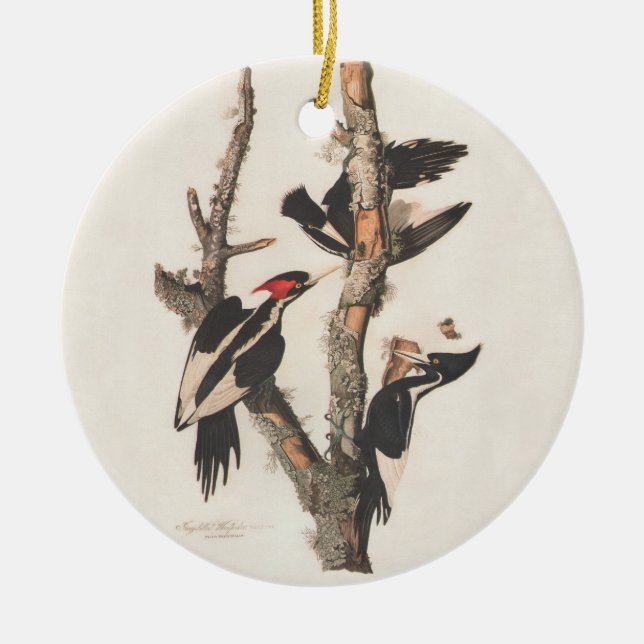 Audubon Ivory-Billed Woodpecker Keramik Ornament (Vorne)