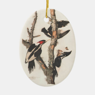 Audubon Ivory-Billed Woodpecker Keramikornament