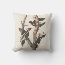 Audubon Ivory-Billed Woodpecker Kissen