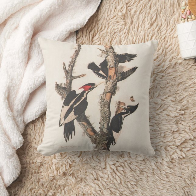 Audubon Ivory-Billed Woodpecker Kissen (Decke)