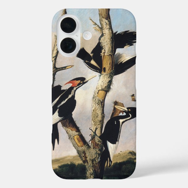 Audubon Ivory-Billed Woodpecker Painting Case-Mate iPhone Hülle (Rückseite)
