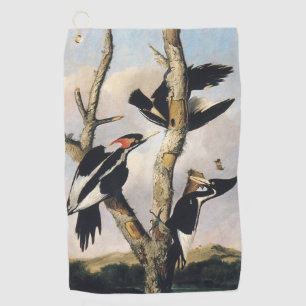 Audubon Ivory-Billed Woodpecker Painting Golfhandtuch