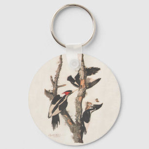 Audubon Ivory-Billed Woodpecker Schlüsselanhänger