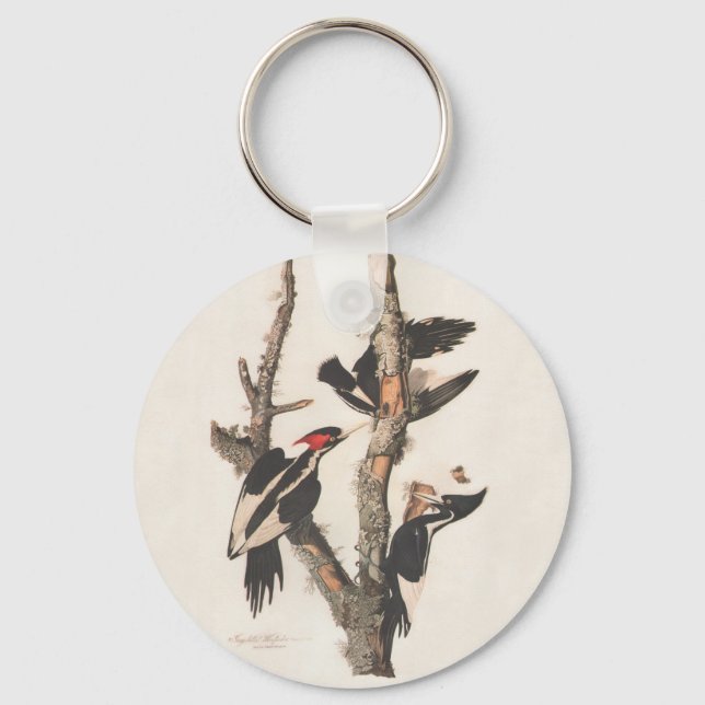 Audubon Ivory-Billed Woodpecker Schlüsselanhänger (Vorderseite)
