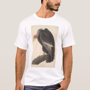 Audubon Kalifornien Geier (2609A) T-Shirt