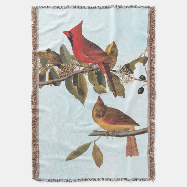 Audubon Kardinal Pair in Wild-Almond-Tree Decke (Vorderseite Vertikal)