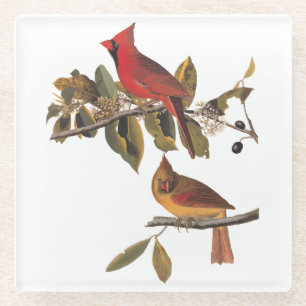 Audubon Kardinal Pair in Wild-Almond-Tree Glasuntersetzer