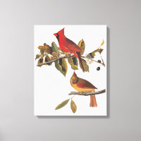 Audubon Kardinal Pair in Wild-Almond-Tree