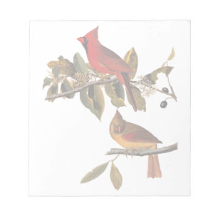 Audubon Kardinal Pair in Wild-Almond-Tree Notizblock