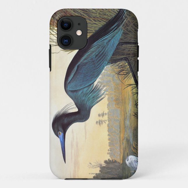 Audubon: Kleines Blau-Reiher Case-Mate iPhone Hülle (Rückseite)