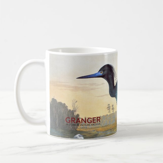 Audubon: Kleines Blau-Reiher Tasse (Links)
