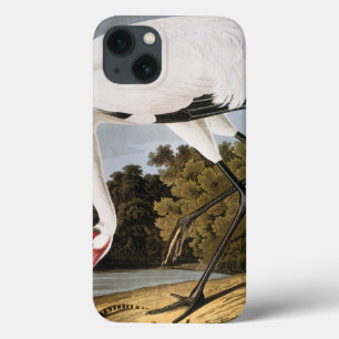 Audubon: Kranich Case-Mate iPhone Hülle