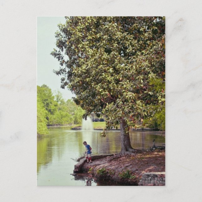 Audubon Lagoon Postkarte (Vorderseite)