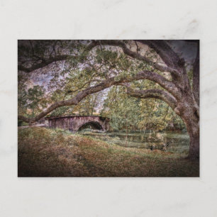 Audubon Lagoon Postkarte