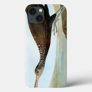 Audubon: Limpkin Case-Mate iPhone Hülle