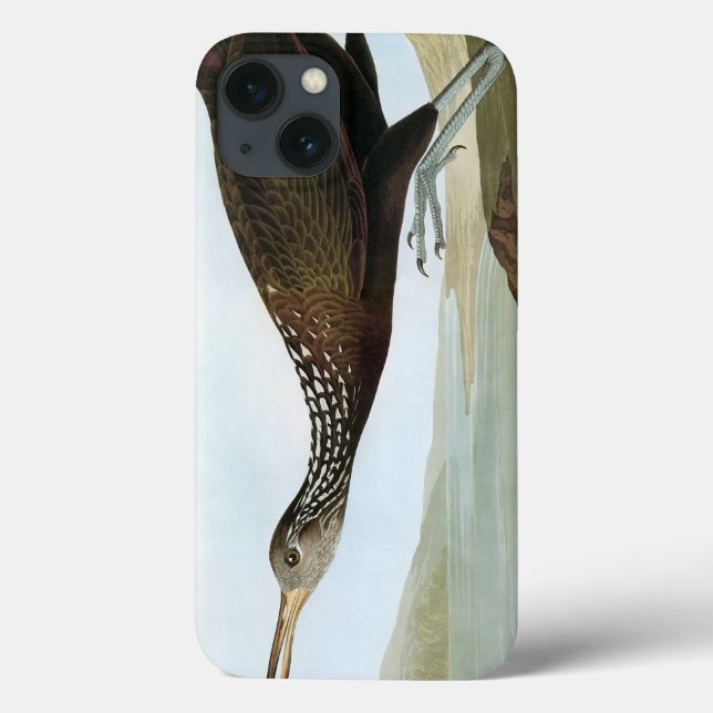 Audubon: Limpkin Case-Mate iPhone Hülle (Rückseite)