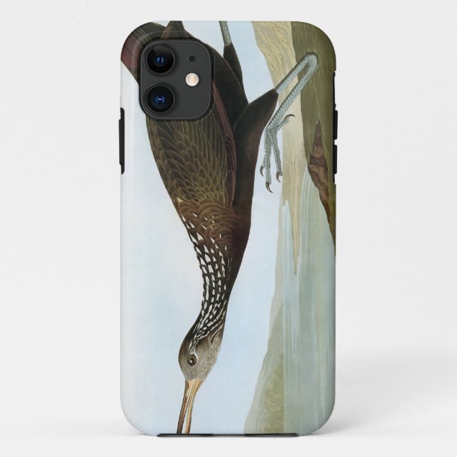 Audubon: Limpkin Case-Mate iPhone Hülle (Rückseite)