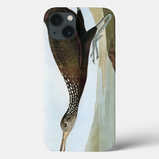 Audubon: Limpkin Case-Mate iPhone Hülle (Rückseite)
