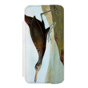 Audubon: Limpkin Incipio Watson™ iPhone 5 Geldbörsen Hülle