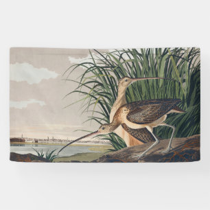 Audubon Long Billed Curlew Bird Banner