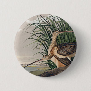 Audubon Long Billed Curlew Bird Button