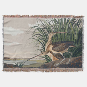 Audubon Long Billed Curlew Bird Decke