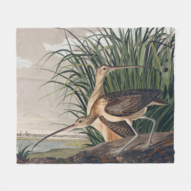 Audubon Long Billed Curlew Bird Fleecedecke (Vorderseite (Horizontal))