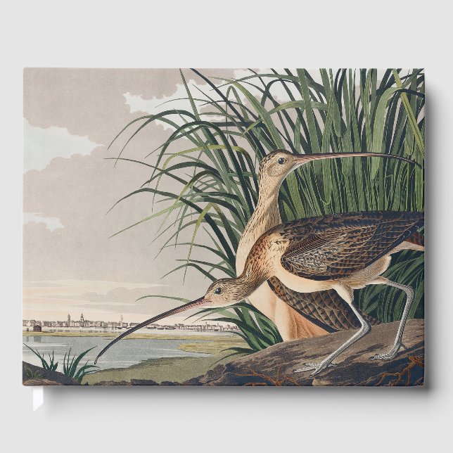Audubon Long Billed Curlew Bird Gästebuch (Vorderseite)