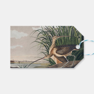 Audubon Long Billed Curlew Bird Geschenkanhänger