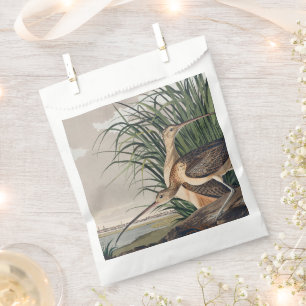 Audubon Long Billed Curlew Bird Geschenktütchen