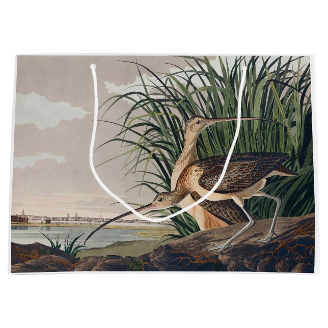 Audubon Long Billed Curlew Bird Große Geschenktüte (Vorderseite)