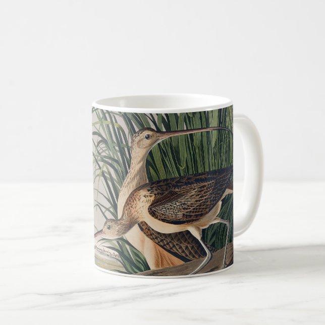 Audubon Long Billed Curlew Bird Kaffeetasse (VorderseiteRechts)