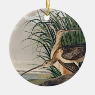 Audubon Long Billed Curlew Bird Keramik Ornament