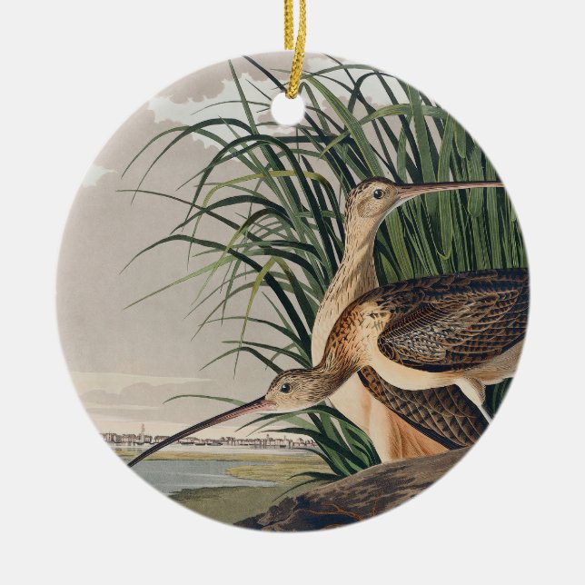 Audubon Long Billed Curlew Bird Keramik Ornament (Vorne)