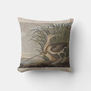 Audubon Long Billed Curlew Bird Kissen