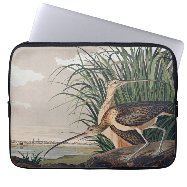 Audubon Long Billed Curlew Bird Laptopschutzhülle (Vorderseite)