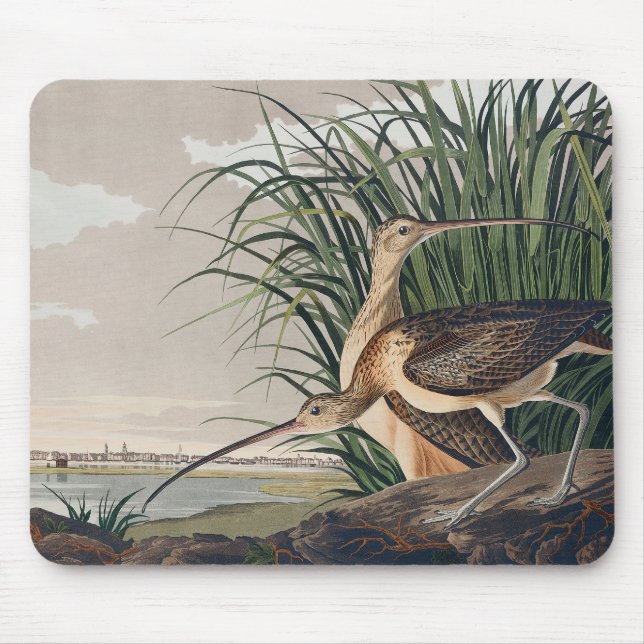 Audubon Long Billed Curlew Bird Mousepad (Vorne)